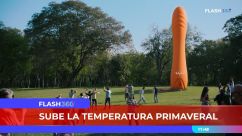 Tulipán “Verle la cara a Dios”